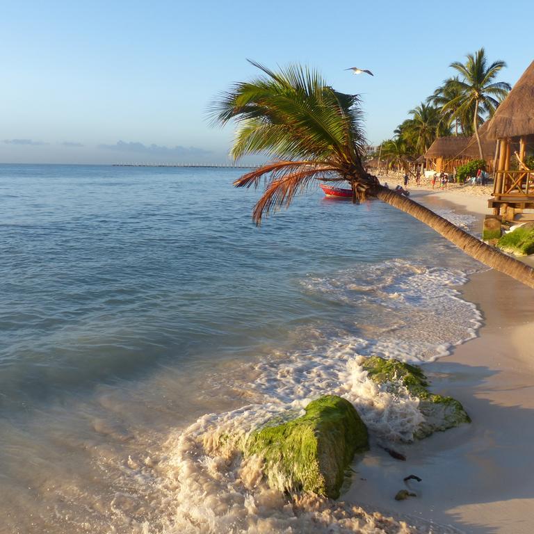 Lilas Del Mar Apartments Playa del Carmen Eksteriør bilde